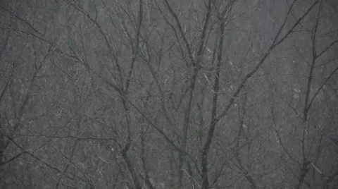 HD1080 Winter 스톡 동영상 41047514