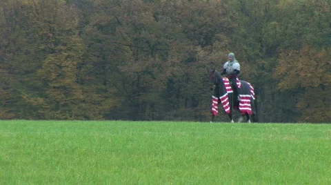 HD1080i Lonely Middle Ages Knight on black horse ride on meadow Stock Footage