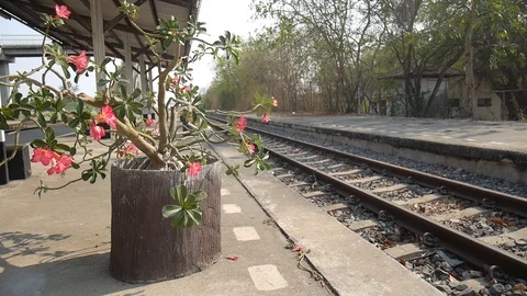 HD1080P Train Station Stock Footage 125326677