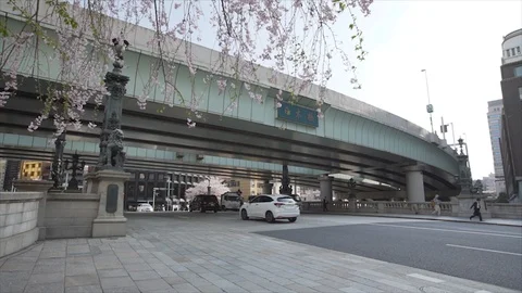 HD.Bridge. Cherry Blossom Tree. Nihonbashi Tokyo. Wide Still. Stock Footage 105306077