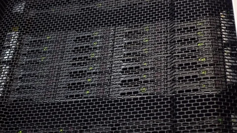 HDD SATA Disk Server Rack. Green LEDs on data drives Stock Footage 112734013