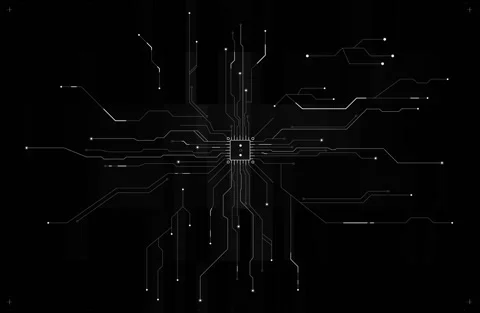 HDG - Miscellaneous - Chip 2 Video stock 163587324