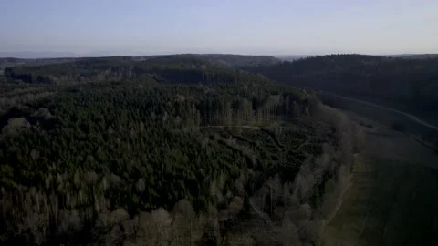 HDR Aerial of Pine Forest Glade with Hunter's Stand at Sunset 10Bit Stock Footage 177478893