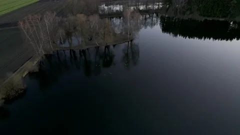 HDR Aerial View of Ducks on Small Lake next to Field and Pine Forest 10Bit Stock Footage 177583497