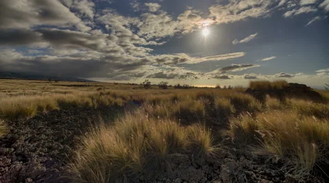 HDR Dynamic Grasslands Setting Sun Time Lapse, Waikoloa Ranch Land, Big Island 動画素材 50118257