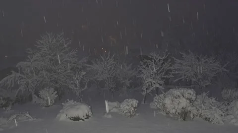HDR Heavy snow during the night [Hybrid Log Gamma - HLG2, BT.2020] Stock Footage 170651002
