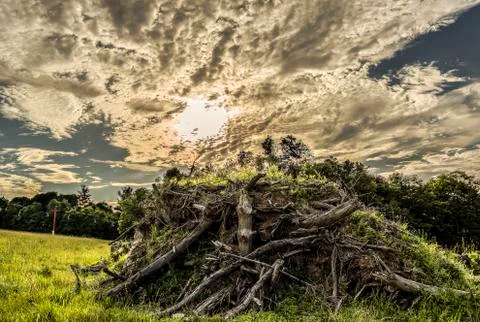 HDR Image of Forest Trash under A Dramatic Sky in Upstate New York Stock Photos