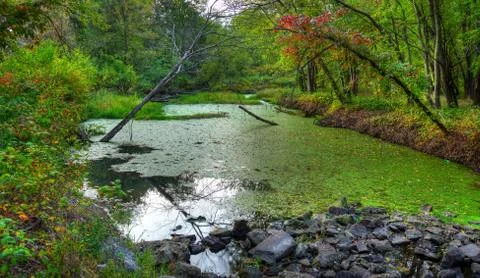 An hdr landscape Stock Photos