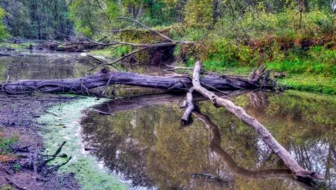 An hdr landscape Stock Photos