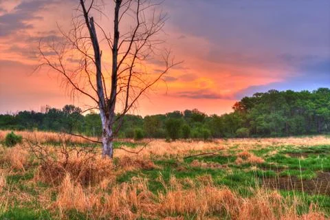 An HDR landscape Stock Photos
