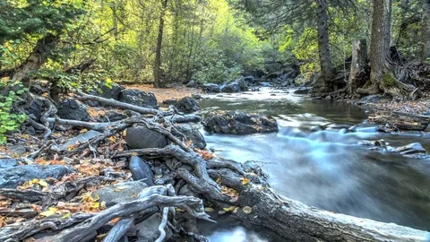 HDR Motion Time Lapse of Flowing Creek in Fall Colors 4K Stock Footage 79549191