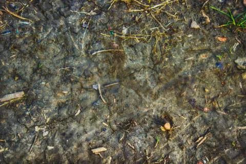 HDR mud soil Stock-Fotos