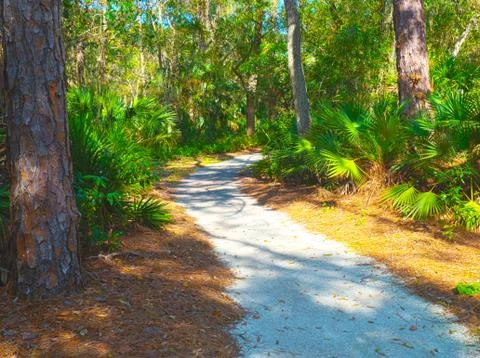 HDR Path through John Chestnut Park in Florida 3 Foto stock
