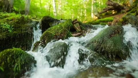 HDR slow motion shot of small mountain forest stream with crystal clear water Stock Footage