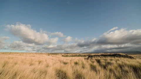 HDR Static Grasslands Time Lapse, Waikoloa Ranch Land, Big Island, Hawaii Vidéo 50547958
