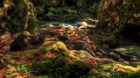 HDR Time Lapse Moss-Covered Boulders.  Crimea, Ukraine Stock Footage 26853386