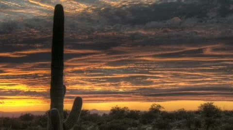 HDR Timelapse Sunset Arizona Cactus Stock Footage