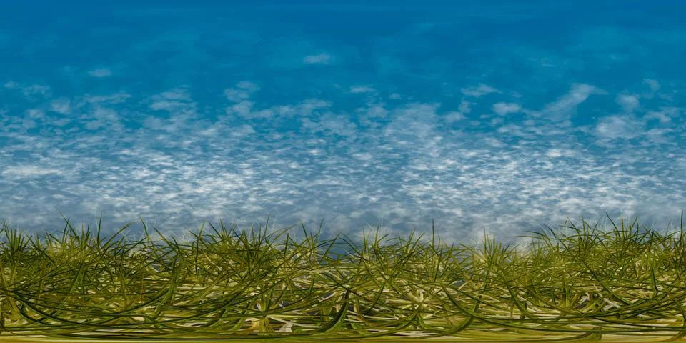 Hdri map sky and grass Illustrazione stock