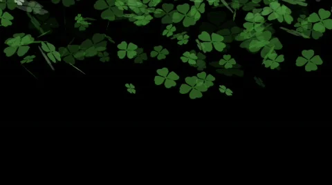 HDSP 003 Stock Footage 650852