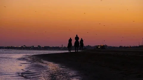 HD.Three riders train by the edge of the beach at sunset Stock Footage 75421743