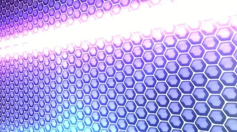 HDTV BEES BACKGROUND 002 Stock Footage 11063763