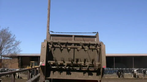 HDV: Cows and Loading Manure Stock Footage 108732