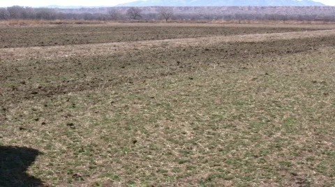 HDV: Manure Spreader Stock Footage 108728