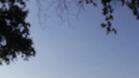 He beach (5) Stock-Footage 308609928