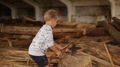 He boy chopped wood. Stock Footage 129081065