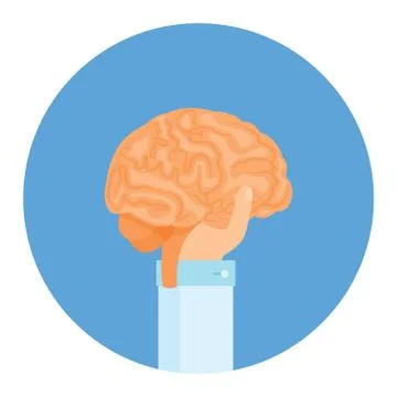 He keeps brains in his hand, he teaches a stupid mind. Vector. Stock Illustration