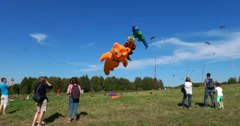 He launch of big kites in the Park Tsaritsyno Stock Footage 66781938
