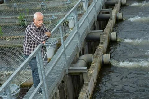 He is looking at the water Stock Photos