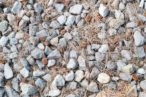 He varied texture of crushed gray gravel creates a rough surface. Stock Photos