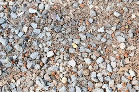 He varied texture of crushed gray gravel creates a rough surface. Stock Photos