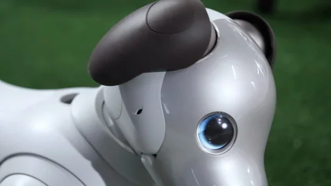 The head of an Aibo robot dog Stock Footage 126276967