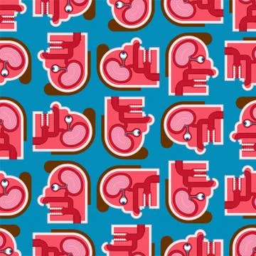 Head Anatomy pattern seamless. Cartoon Internal scheme background. Brain and  Stock Illustration