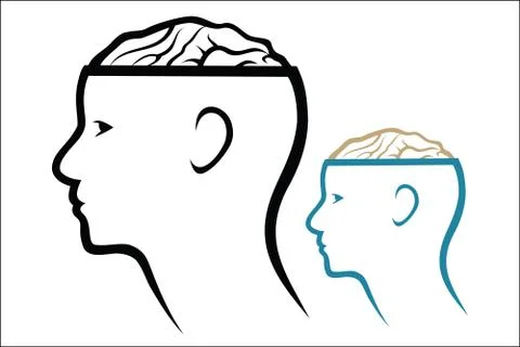 Head and Brain Stock Illustration