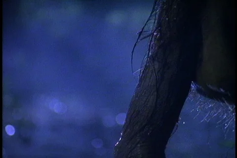 Head and shoulders of Lucy as she falls down into shallow water at night. Stock Footage 86752320