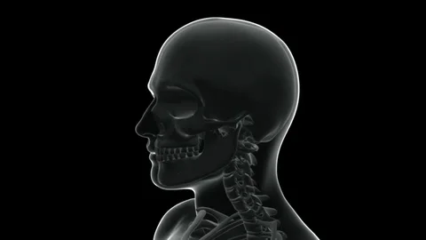 Head and Skull  rotating. Xray radiography. 스톡 동영상 70726518