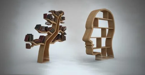 Head and tree bookshelf of knowledge with grey background Stock Photos