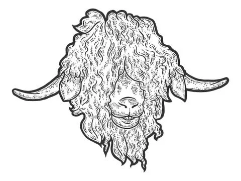 Head Angora goat. Engraving vector illustration. Sketch scratch board imitation. Stock Illustration