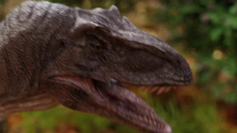 A head of an angry velociraptor Stock Footage 253598586