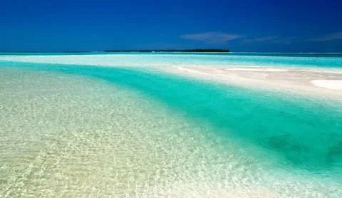 Head of a beautiful beach Stock Photos