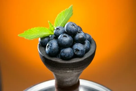 Head of berry hookah Stock Photos