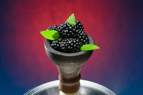 Head of berry hookah Stock Photos