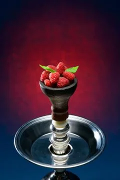 Head of berry hookah Stock Photos