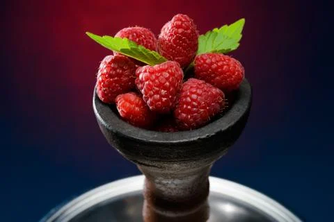 Head of berry hookah Stock Photos
