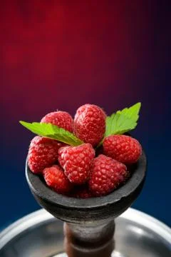 Head of berry hookah Stock Photos