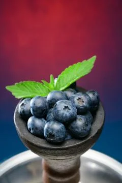 Head of berry hookah Stock Photos