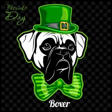 Head of a Boxer Dog and elements of St. Patricks Day. Vector illustration Stock Illustration